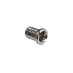 Hollow screw (Prevex)