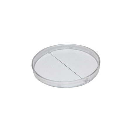 12) Takaiskuventtiili